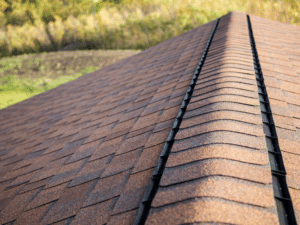 Ridge Vent Complete