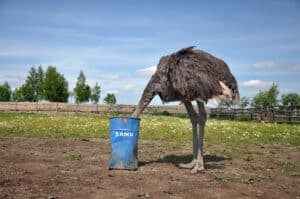 ostrich burying its head in the sand