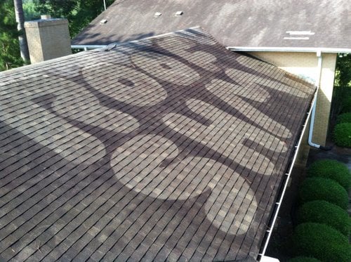ROOF+ART copy