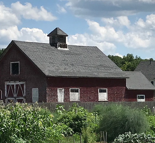 Barn Before Roof Replacement