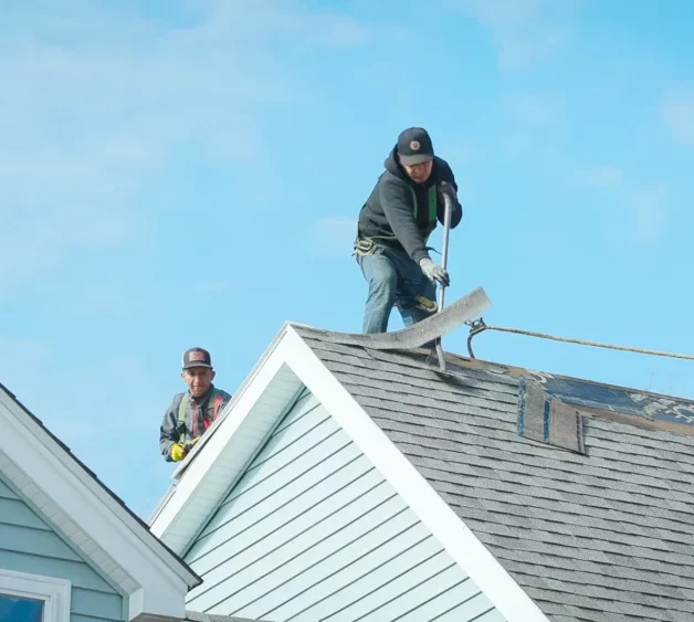 roof cleaning