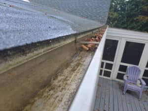 roof edge and gutter