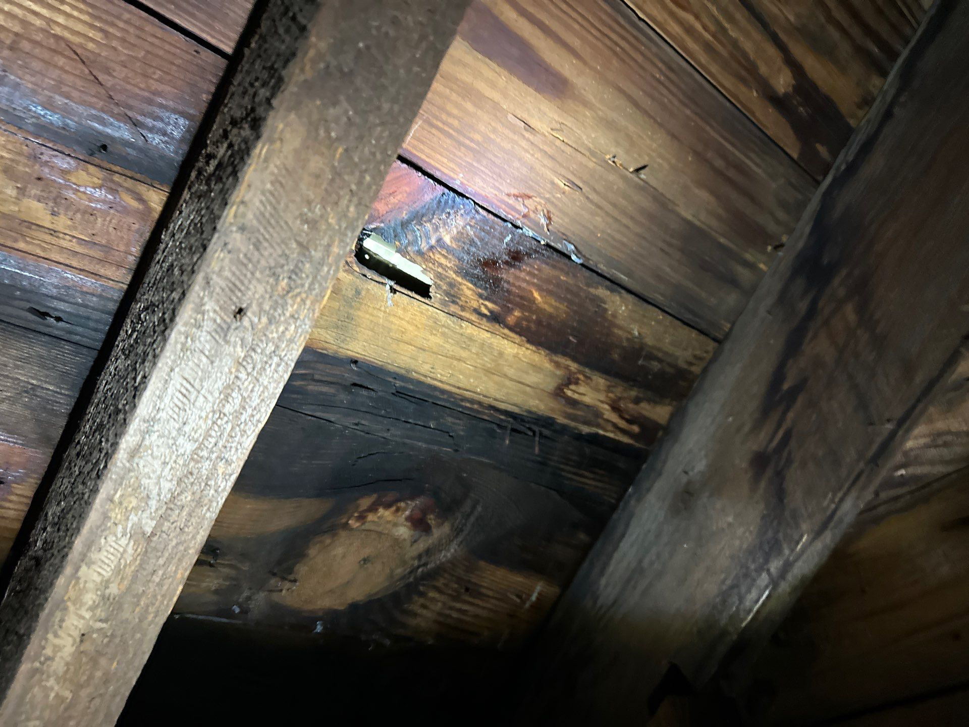 a view of rotted wood from underneath the roof
