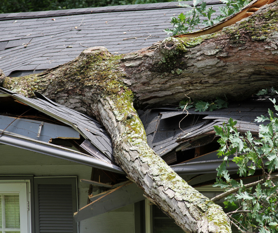 a tree has fallen directly onto a roof, causing severe damage 