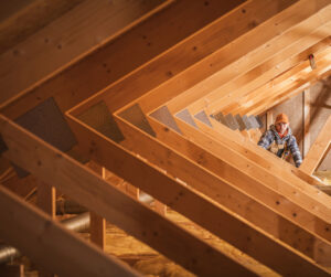 a worker stands in an attic, behind a row of beams and rafters