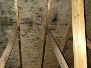 underside roof deck black spots